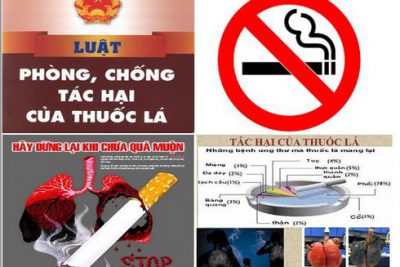 TẬP HUẤN VỀ  LUẬT PHÒNG CHỐNG TÁC HẠI CỦA THUỐC LÁ MỚI